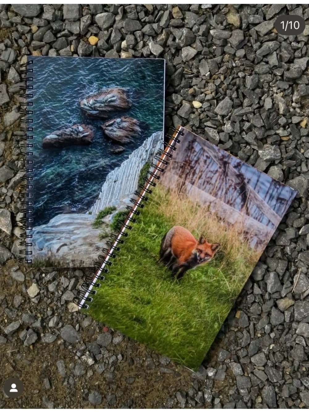 Spiral Notebook Set - Fox & Ocean Cover